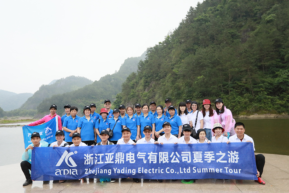 Zhejiang Yading Electric Co., Ltd